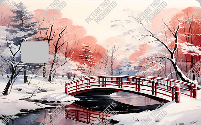 Bank  Card Sticker-BC-2822